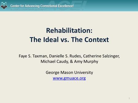 1 Rehabilitation: The Ideal vs. The Context Faye S. Taxman, Danielle S. Rudes, Catherine Salzinger, Michael Caudy, & Amy Murphy George Mason University.