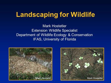 Landscaping for Wildlife Mark Hostetler Extension Wildlife Specialist Department of Wildlife Ecology & Conservation IFAS, University of Florida.