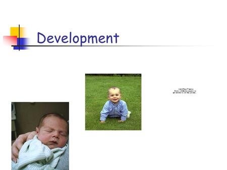 Development. Great Debates Nature vs. Nurture Discontinuity (“steps”) vs. Continuity (“waves”) Cross-Sectional vs. Longitudinal Designs.