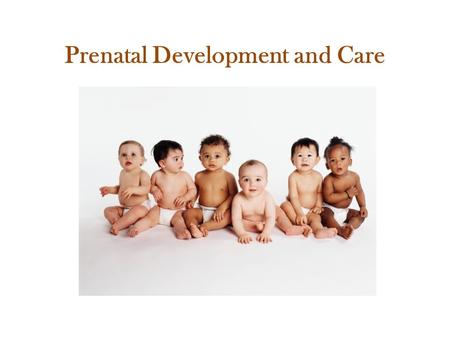 Prenatal Development and Care