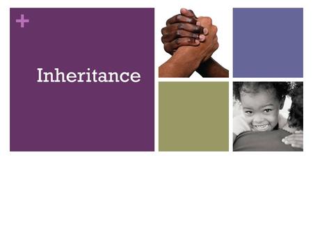 + Inheritance. + Single genes—monohybrid crosses To illustrate the ﬁ rst of Mendel’s Principles of Inheritance we will consider the simplest case—observing.