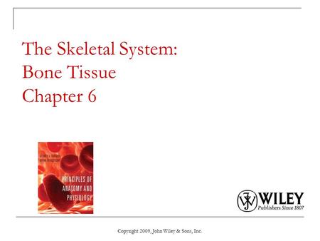 The Skeletal System: Bone Tissue Chapter 6