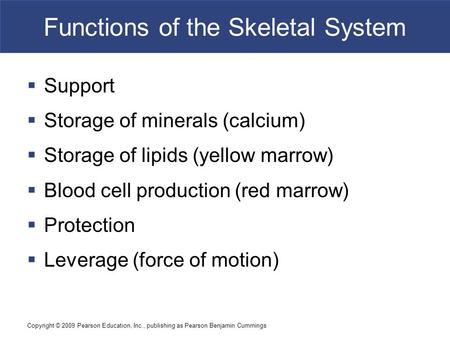 Copyright © 2009 Pearson Education, Inc., publishing as Pearson Benjamin Cummings Functions of the Skeletal System  Support  Storage of minerals (calcium)