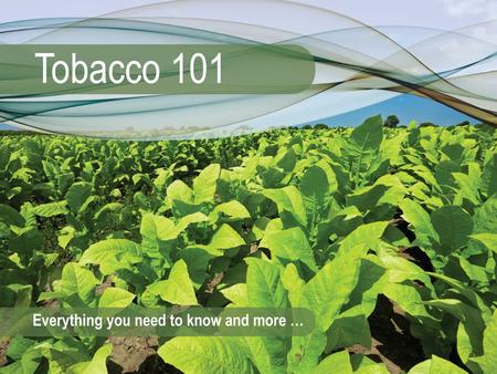 Quitting Tobacco Use Module 13 Tobacco 101: Module 133 Quitting Tobacco Use What can happen to the inside of your body when you stop smoking?