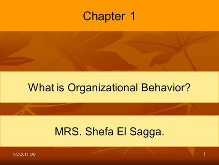 What is Organizational Behavior?