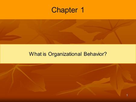 What is Organizational Behavior?