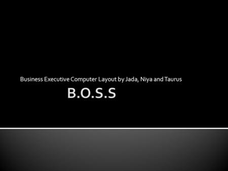 Business Executive Computer Layout by Jada, Niya and Taurus.