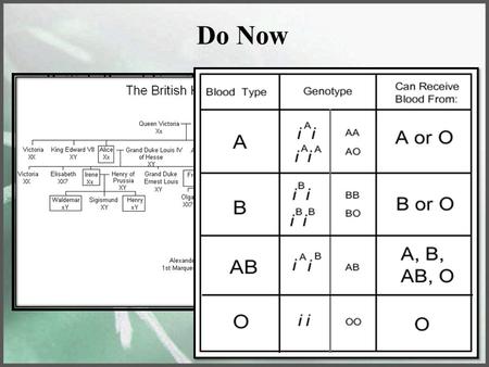 Do Now British Royal Family Pedigree Explain this chart.