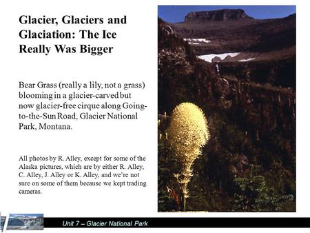 Unit 7 – Glacier National Park Glacier, Glaciers and Glaciation: The Ice Really Was Bigger Bear Grass (really a lily, not a grass) blooming in a glacier-carved.