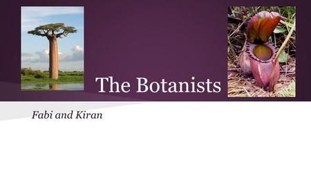 The Botanists Fabi and Kiran. The Botanists As the Botanists, we were studying plants; in particular, the Nepenthes genus and the Adansonia genus (Also.