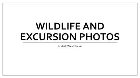 WILDLIFE AND EXCURSION PHOTOS Kodiak West Travel.