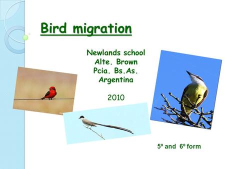 Bird migration Newlands school Alte. Brown Pcia. Bs.As. Argentina 2010 5º and 6º form.