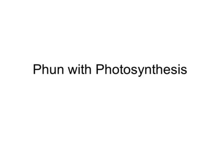 Phun with Photosynthesis