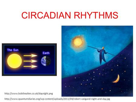 CIRCADIAN RHYTHMS