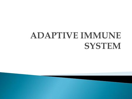  Lymphocytes are responsible for the specificity and memory in adaptive immune responses.  They are produced in the primary lymphoid organs and function.