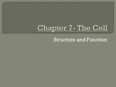 Structure and Function. Section 7-1  Prokaryotes  Eukaryotes.