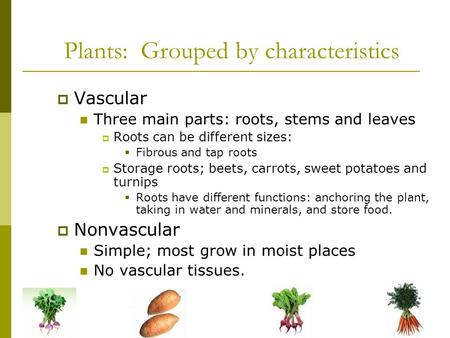 Plants: Grouped by characteristics