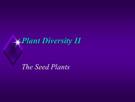 Plant Diversity II The Seed Plants.