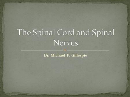 The Spinal Cord and Spinal Nerves