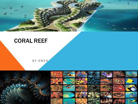 CORAL REEF BY OWEN