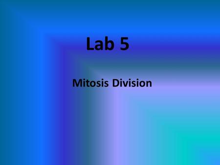 Lab 5 Mitosis Division. What is Mitotic Cell Division? Division of somatic cells (body cells) (non reproductive cells) in eukaryotic organisms A single.