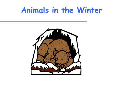 Animals in the Winter What do animals do during the winter? Think Talk to a partner Share with the class.