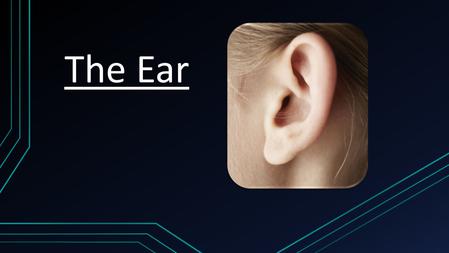 The Ear.