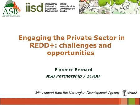 Engaging the Private Sector in REDD+: challenges and opportunities With support from the Norwegian Development Agency Florence Bernard ASB Partnership.