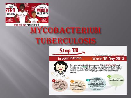  World’s second commonest cause of death  Principal diseases of poverty  The emergence of drug resistant organisms threatens to make Tb incurable.