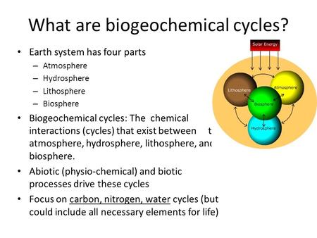 What are biogeochemical cycles?