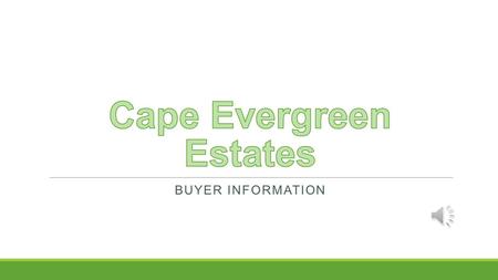 BUYER INFORMATION Overview Development Description Design Breakdown Sales Information.