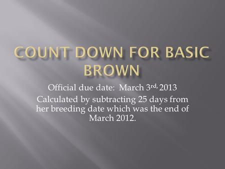 Official due date: March 3 rd, 2013 Calculated by subtracting 25 days from her breeding date which was the end of March 2012.