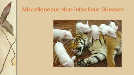 Miscellaneous Non-Infectious Diseases. Common Core Standards Addressed! CCSS.ELA-Literacy.RH.9-10.6 Compare the point of view of two or more authors for.