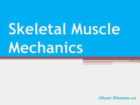 Skeletal Muscle Mechanics