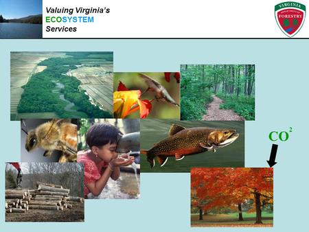 CO 2 Valuing Virginia’s ECOSYSTEM Services. Water Quality Efforts (Sediment Load & Nutrient Load Reduction, Infiltration) How does forest cover impact.