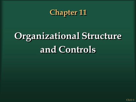 Organizational Structure and Controls