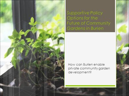 Supportive Policy Options for the Future of Community Gardens in Burien How can Burien enable private community garden development?