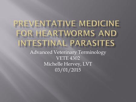 Preventative Medicine for Heartworms and Intestinal Parasites