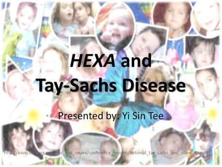 HEXA and Tay-Sachs Disease