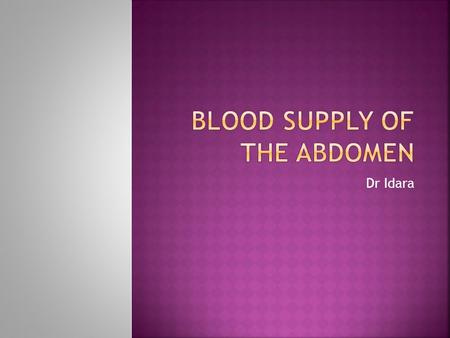 Blood supply of the abdomen