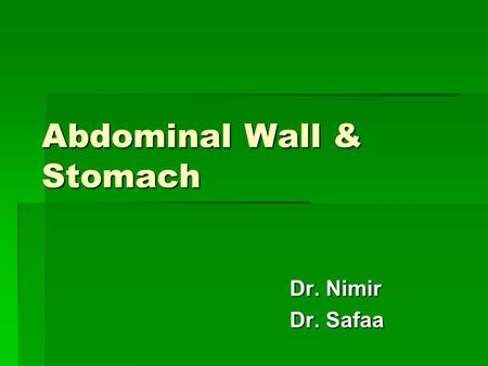 Abdominal Wall & Stomach