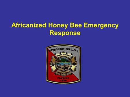 Africanized Honey Bee Emergency Response. Yellow Jacket,Wasp vs Bee Yellow Jackets, Wasps can sting multiple times. Honey bees can sting animals but.