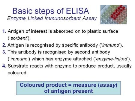 Capture and Detection Antibodies HCV ELISA Classical, parentally transmitted non-A, non-B hepatitis has been shown to be due to a small RNA virus, HCV.