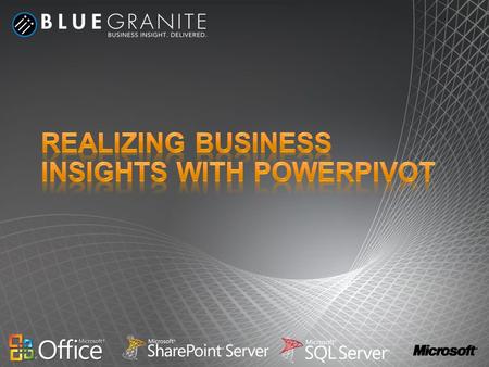 Realizing Business Insights with PowerPivot