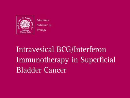 Electronic Image Safe (Remove for final output). BCG Plus IFN-  Combination Therapy Rationale Evidence of synergistic activity Evidence of synergistic.