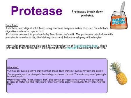 Protease Proteases break down proteins. Baby food: As babies can’t digest solid food, using protease enzymes makes it easier for a baby’s digestive system.