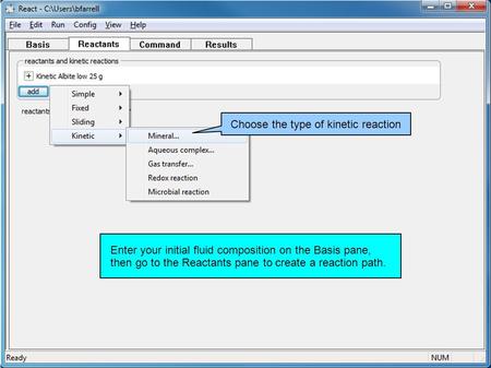 Enter your initial fluid composition on the Basis pane, then go to the Reactants pane to create a reaction path. Choose the type of kinetic reaction.