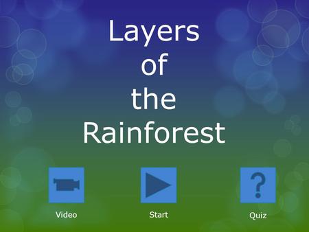 Layers of the Rainforest