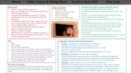 Mesen Holes, Spaces & Hiding Places Summer Term 2015 Miss Copp