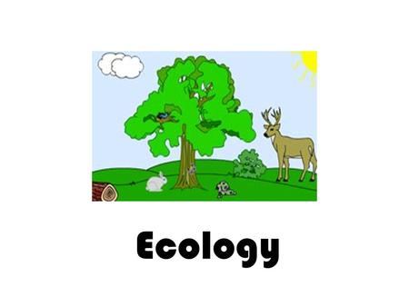 Ecology. What is Ecology? Ecology is the study of interactions among organisms and their environments, or surroundings – also includes the study of human.